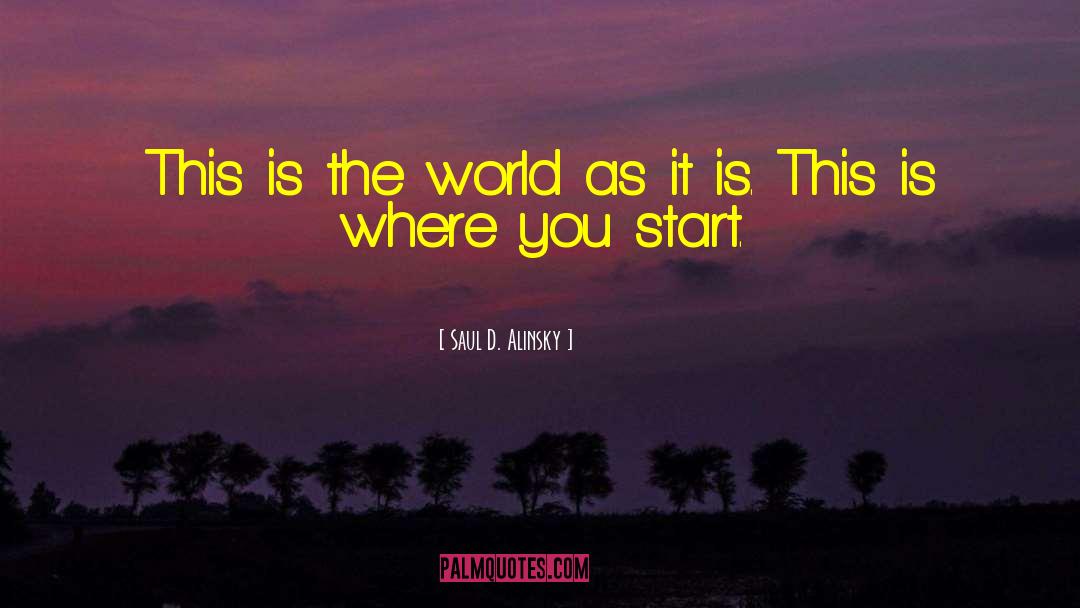 Saul D. Alinsky Quotes: This is the world as