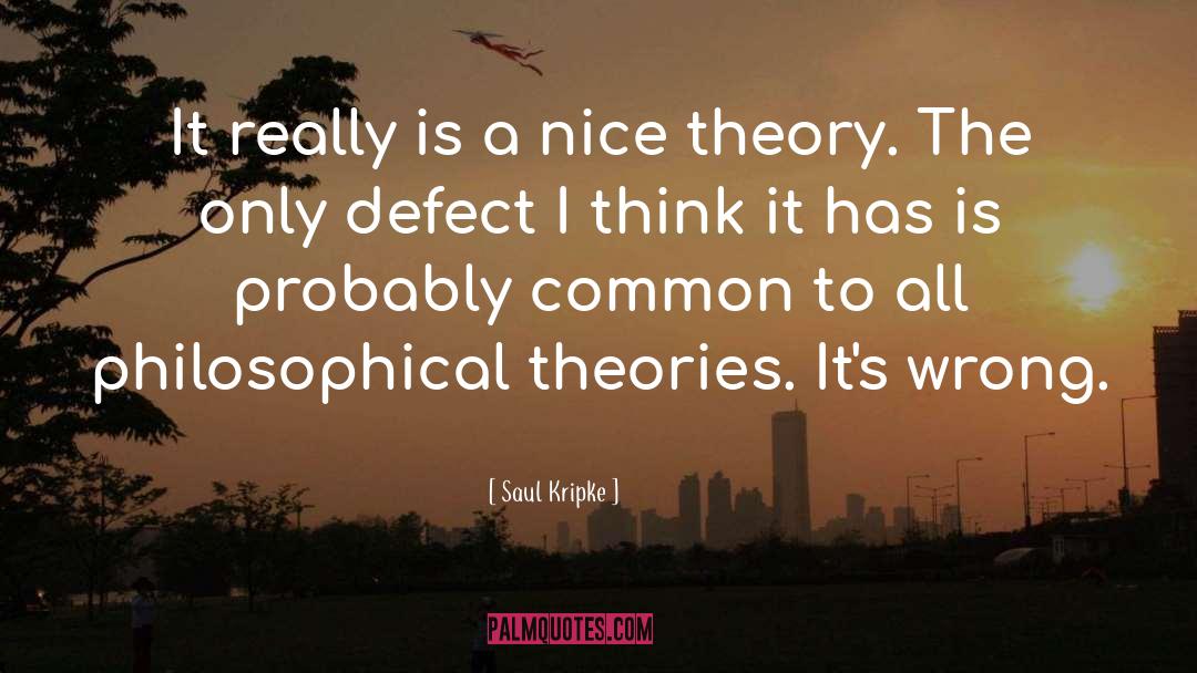 Saul Kripke Quotes: It really is a nice