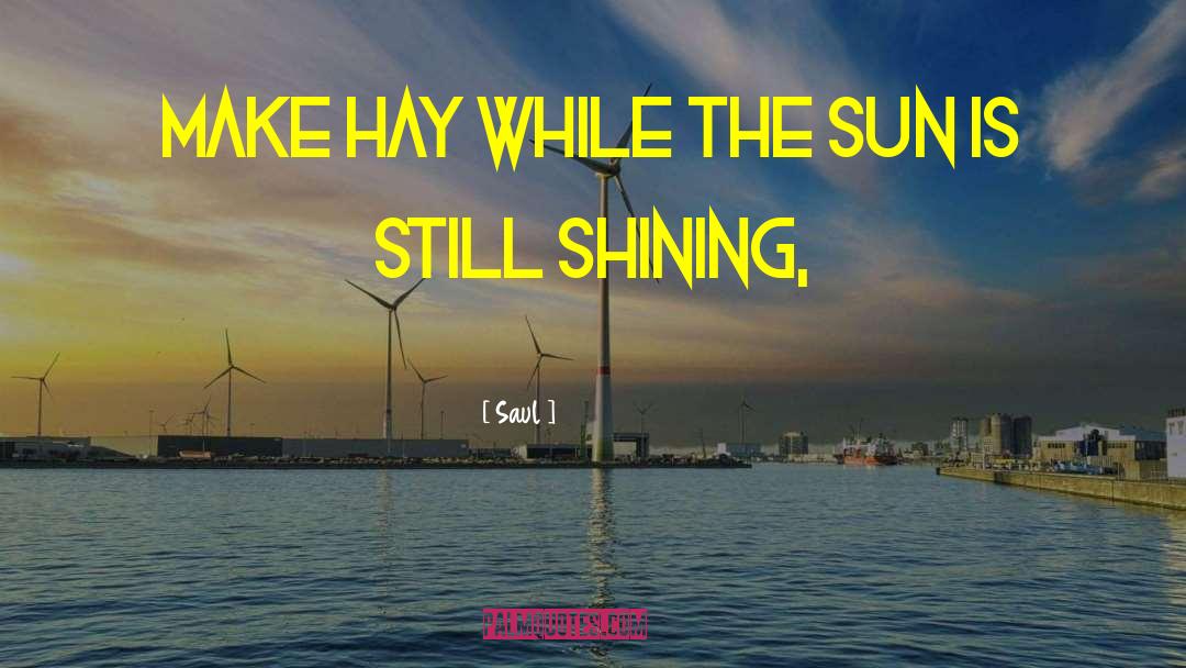 Saul Quotes: Make hay while the sun