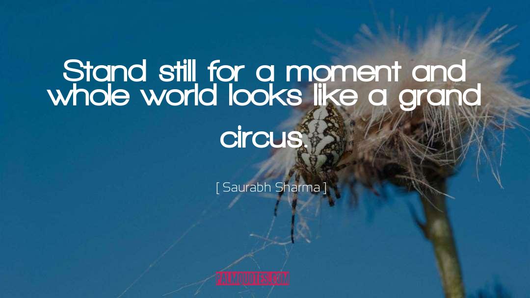 Saurabh Sharma Quotes: Stand still for a moment