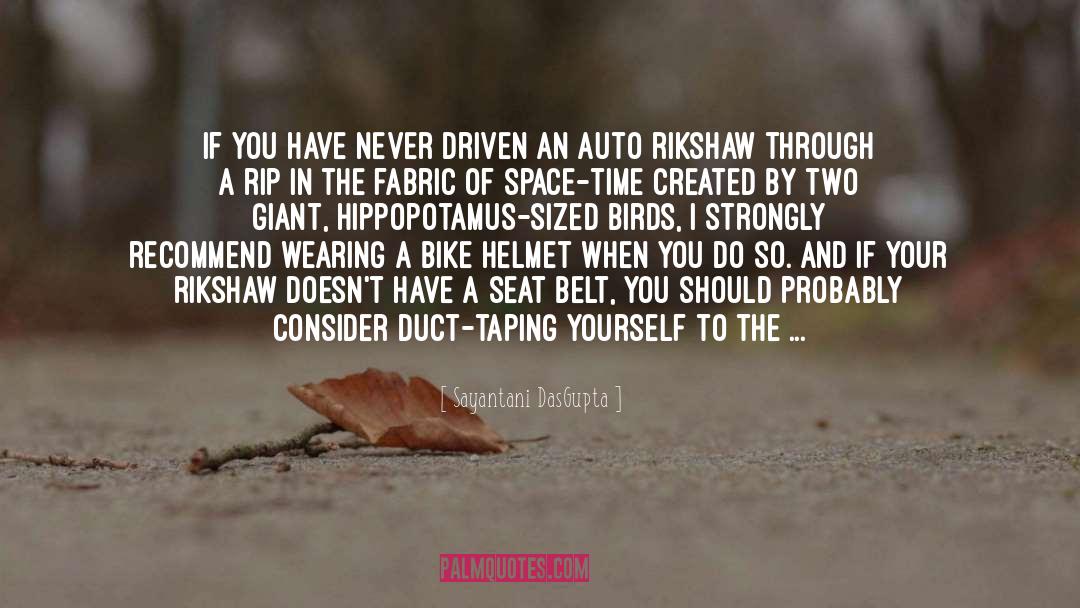 Sayantani DasGupta Quotes: If you have never driven