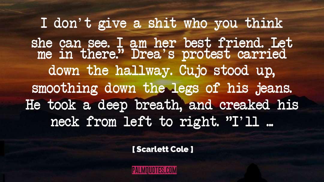 Scarlett Cole Quotes: I don't give a shit