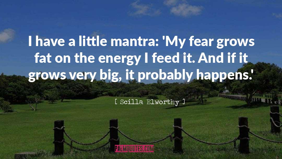 Scilla Elworthy Quotes: I have a little mantra: