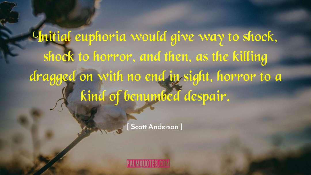 Scott Anderson Quotes: Initial euphoria would give way