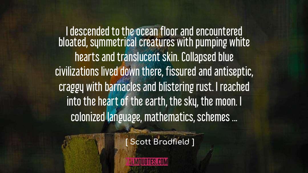 Scott Bradfield Quotes: I descended to the ocean