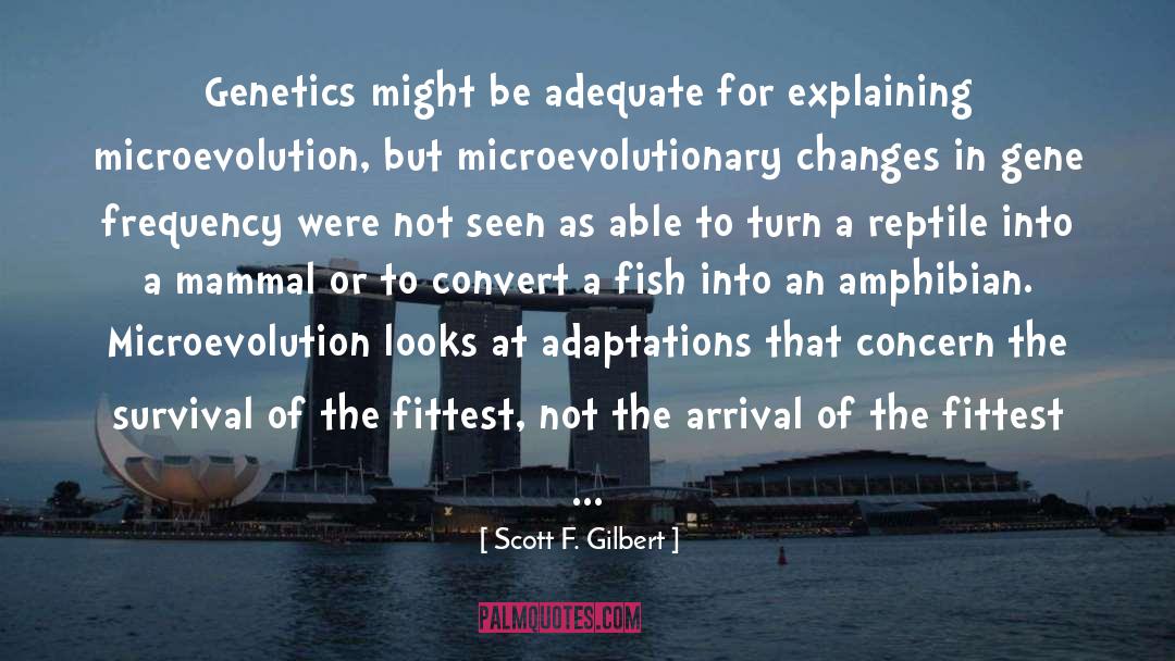 Scott F. Gilbert Quotes: Genetics might be adequate for