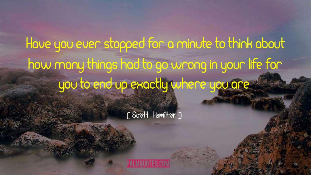 Scott Hamilton Quotes: Have you ever stopped for