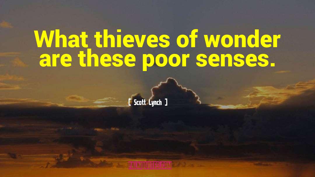 Scott Lynch Quotes: What thieves of wonder are