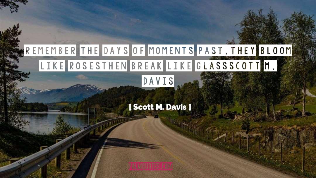 Scott M. Davis Quotes: Remember the days of moments