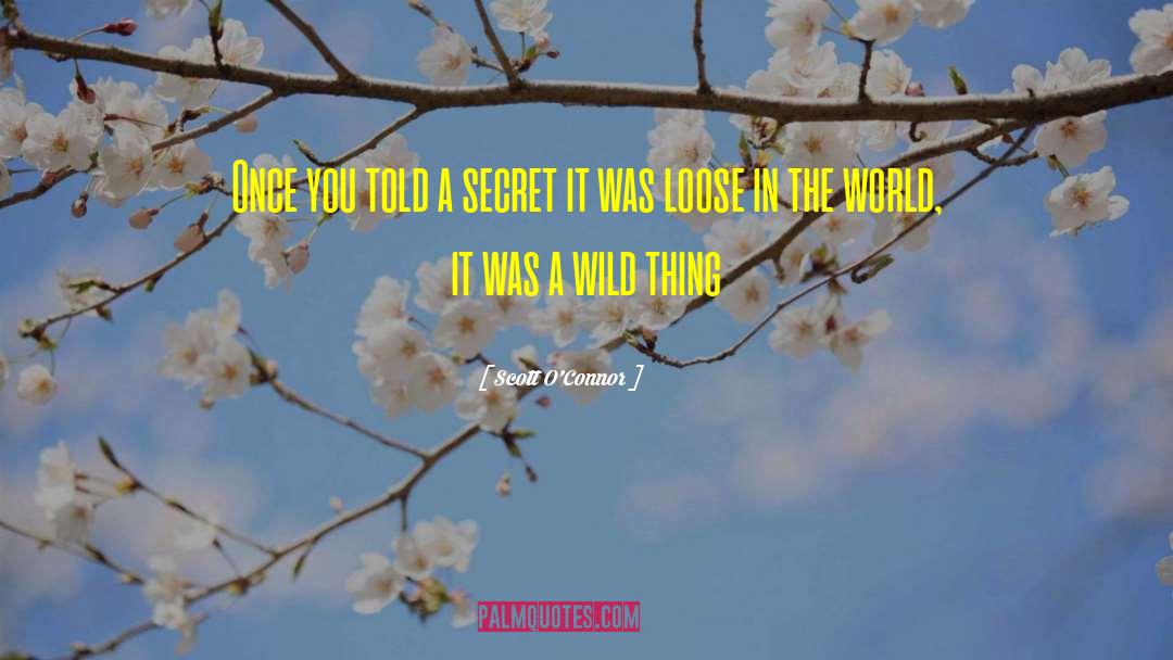Scott O'Connor Quotes: Once you told a secret