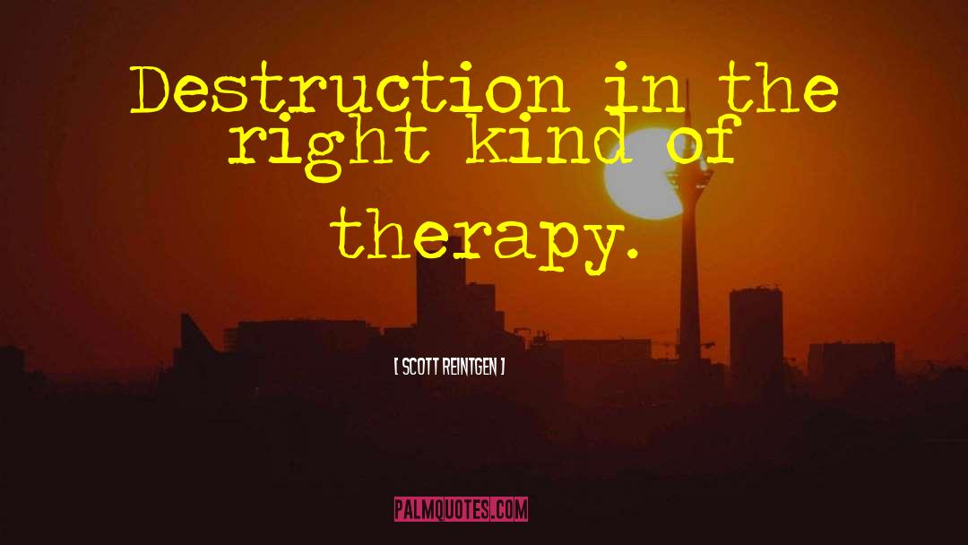 Scott Reintgen Quotes: Destruction in the right kind
