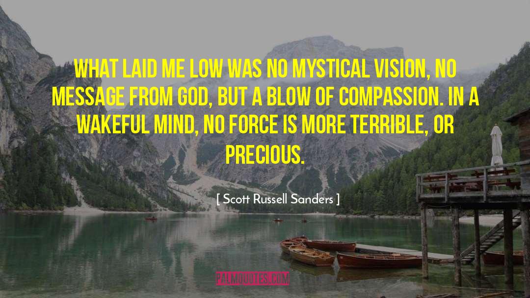Scott Russell Sanders Quotes: What laid me low was