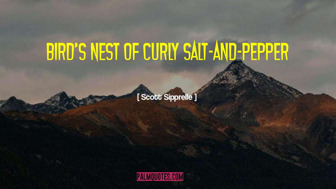 Scott Sipprelle Quotes: bird's nest of curly salt-and-pepper