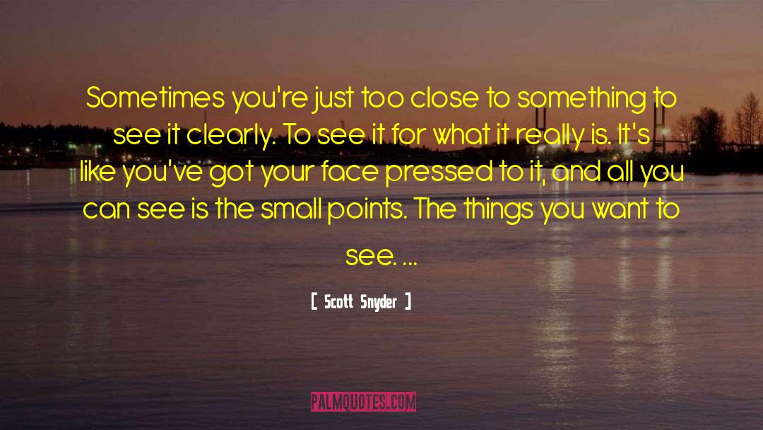 Scott Snyder Quotes: Sometimes you're just too close