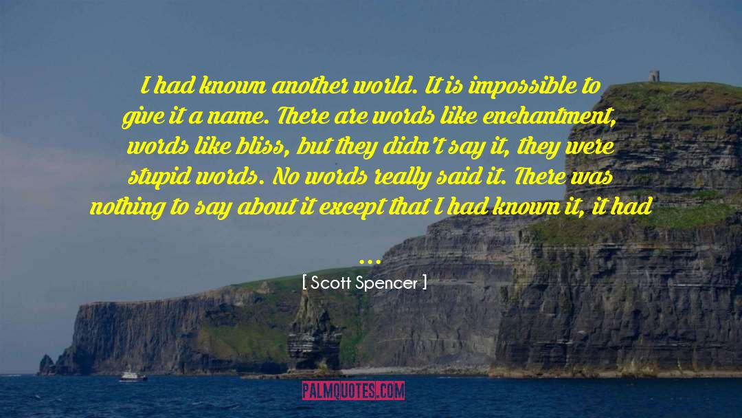 Scott Spencer Quotes: I had known another world.