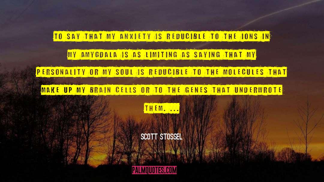 Scott Stossel Quotes: To say that my anxiety