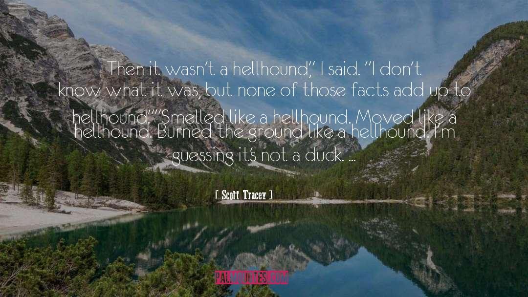 Scott Tracey Quotes: Then it wasn't a hellhound,