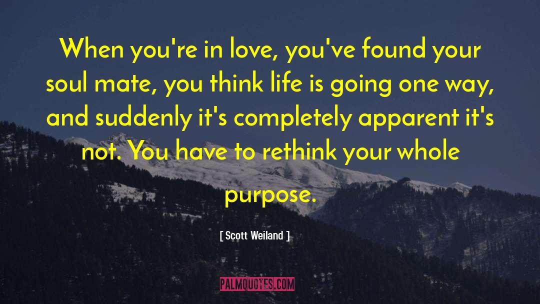 Scott Weiland Quotes: When you're in love, you've