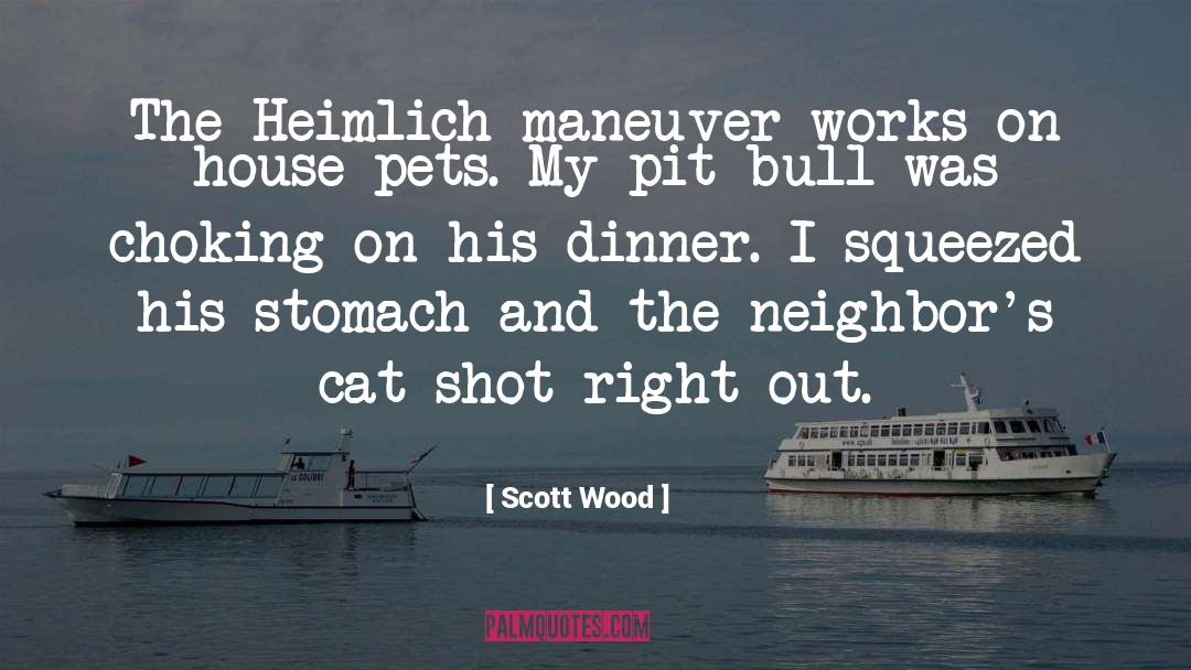 Scott Wood Quotes: The Heimlich maneuver works on