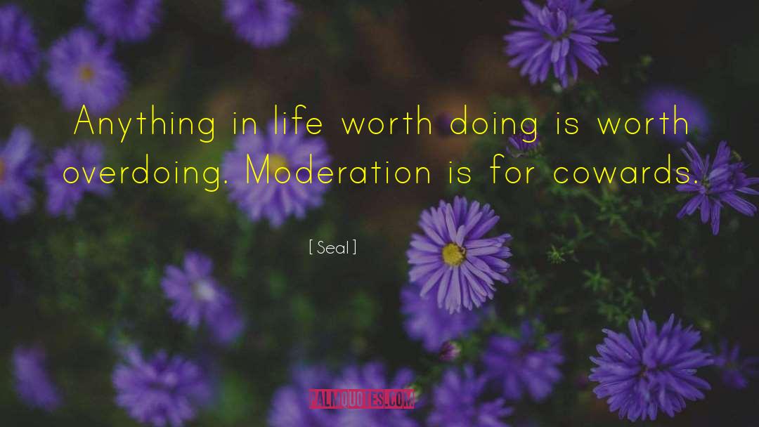 Seal Quotes: Anything in life worth doing