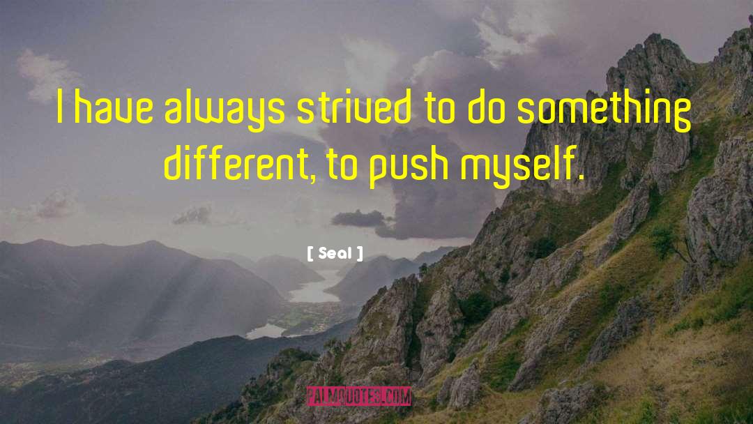 Seal Quotes: I have always strived to