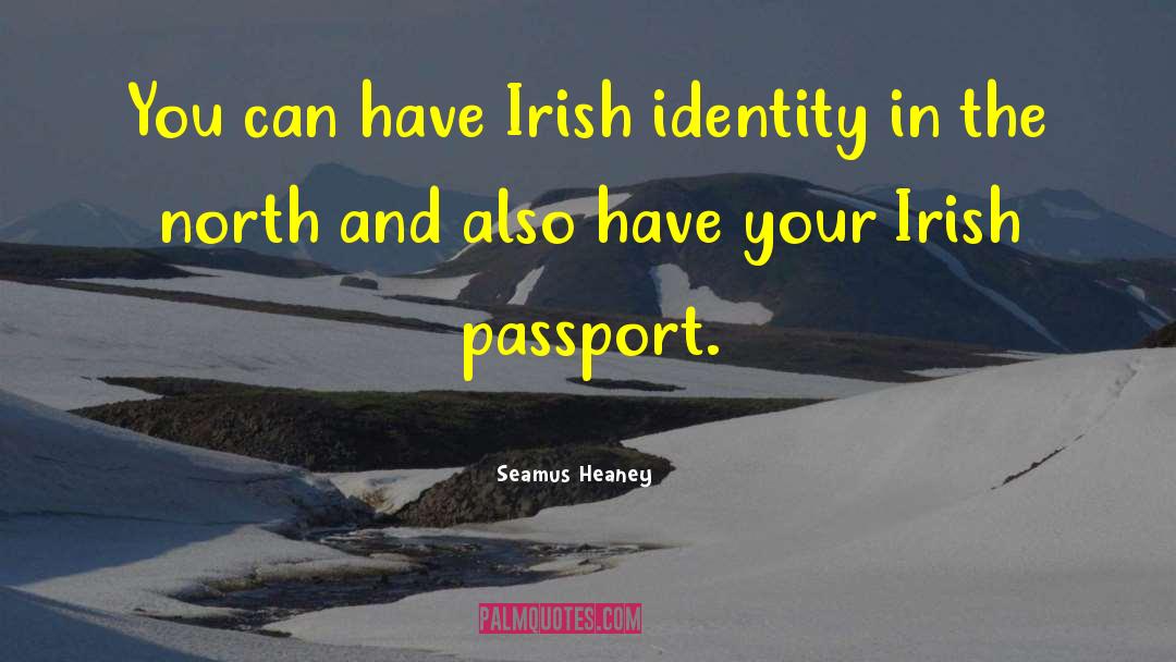 Seamus Heaney Quotes: You can have Irish identity