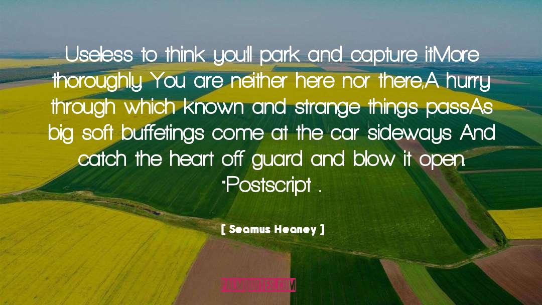 Seamus Heaney Quotes: Useless to think you'll park