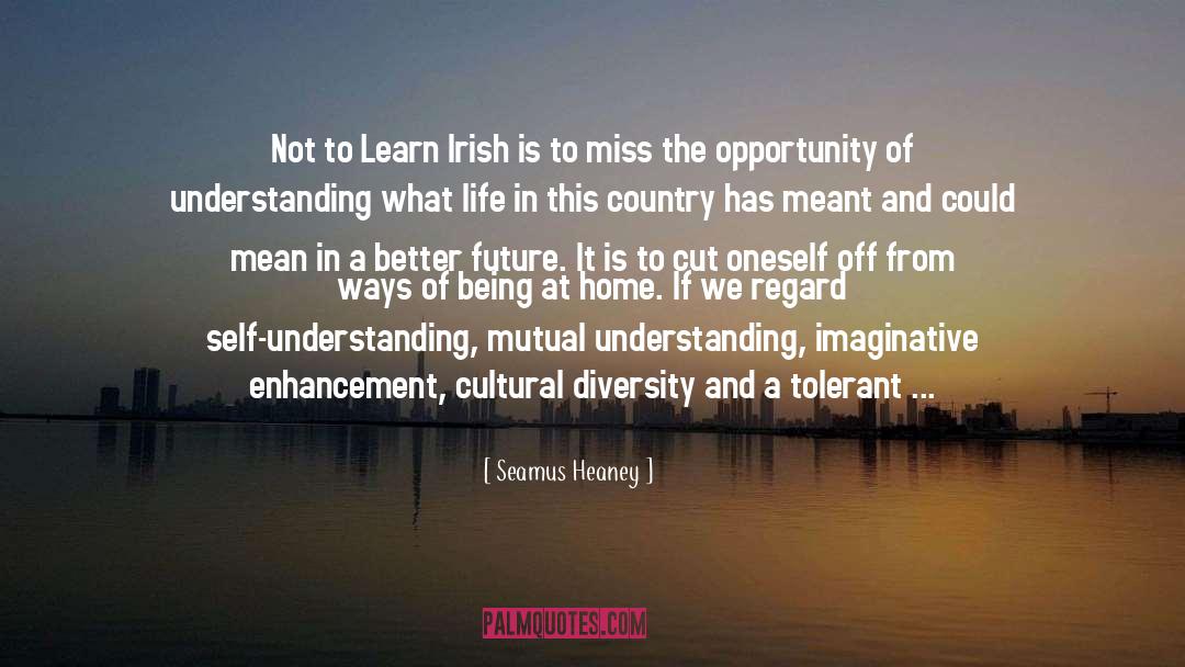 Seamus Heaney Quotes: Not to Learn Irish is