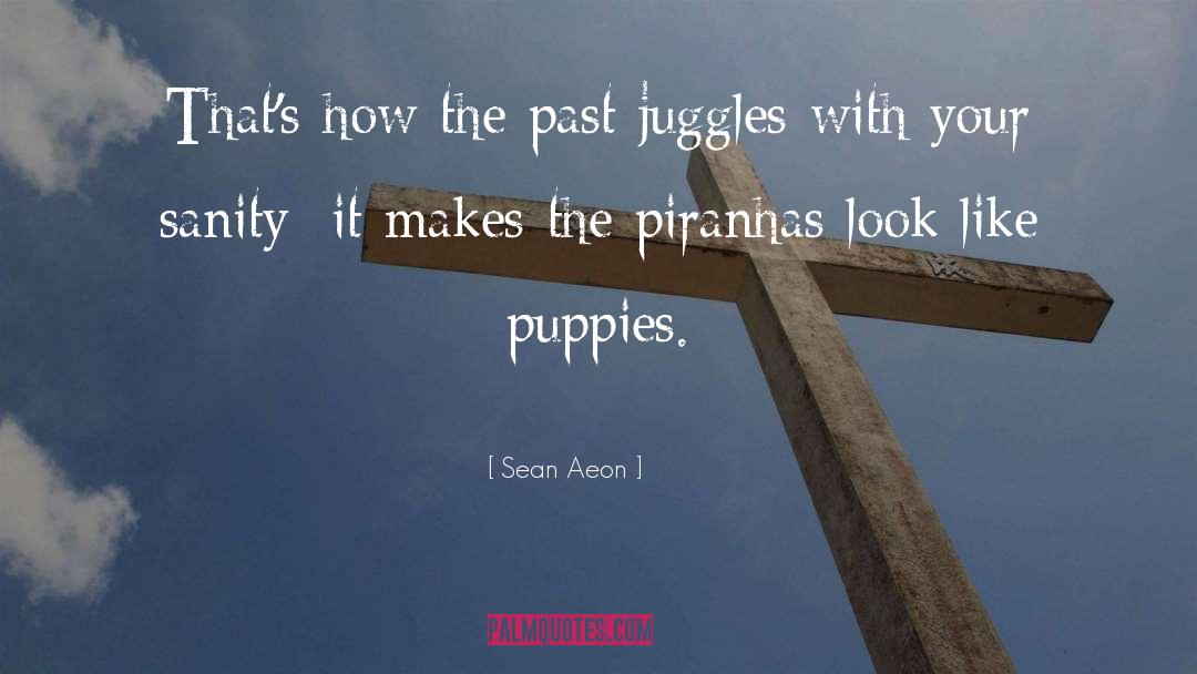 Sean Aeon Quotes: That's how the past juggles