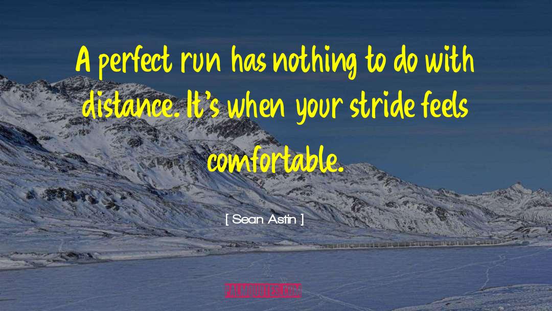 Sean Astin Quotes: A perfect run has nothing