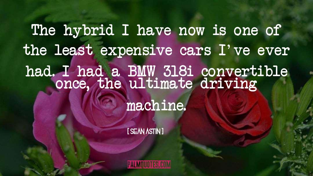 Sean Astin Quotes: The hybrid I have now