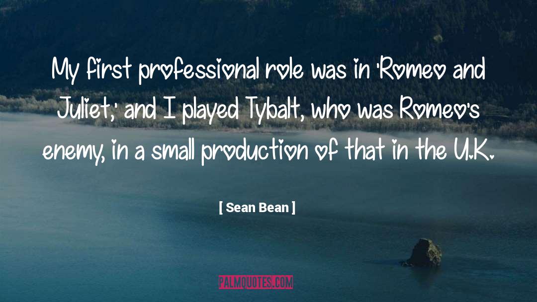 Sean Bean Quotes: My first professional role was