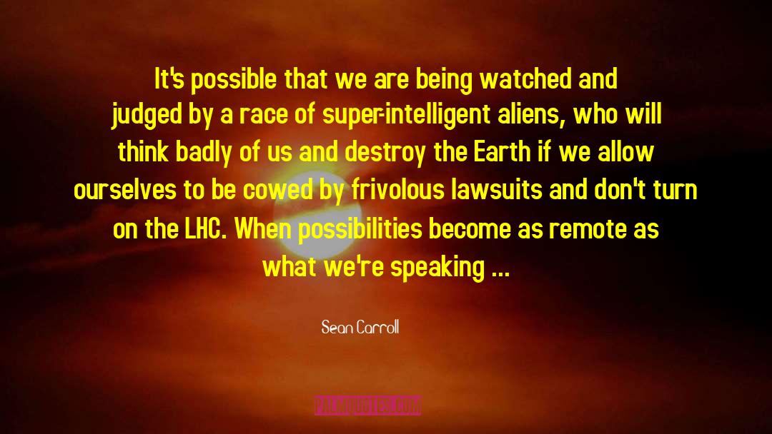 Sean Carroll Quotes: It's possible that we are