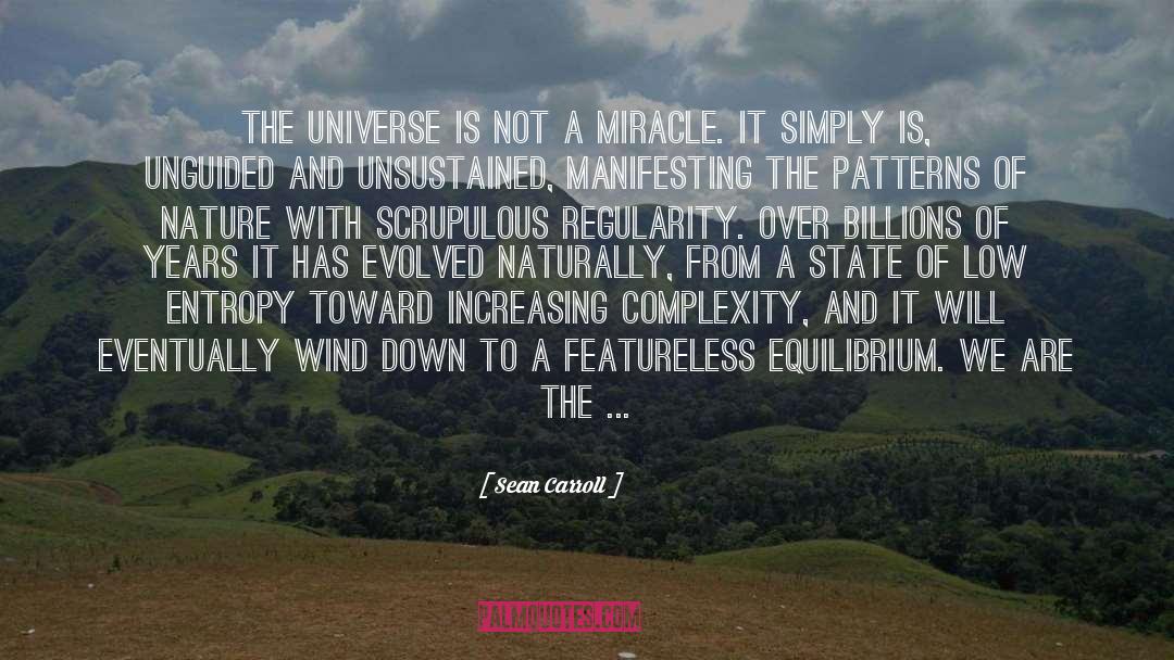 Sean Carroll Quotes: The universe is not a