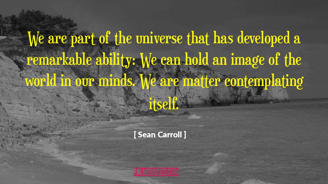 Sean Carroll Quotes: We are part of the