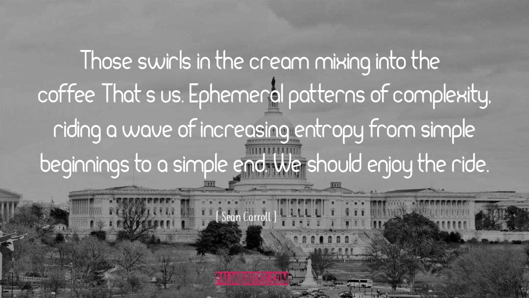 Sean Carroll Quotes: Those swirls in the cream