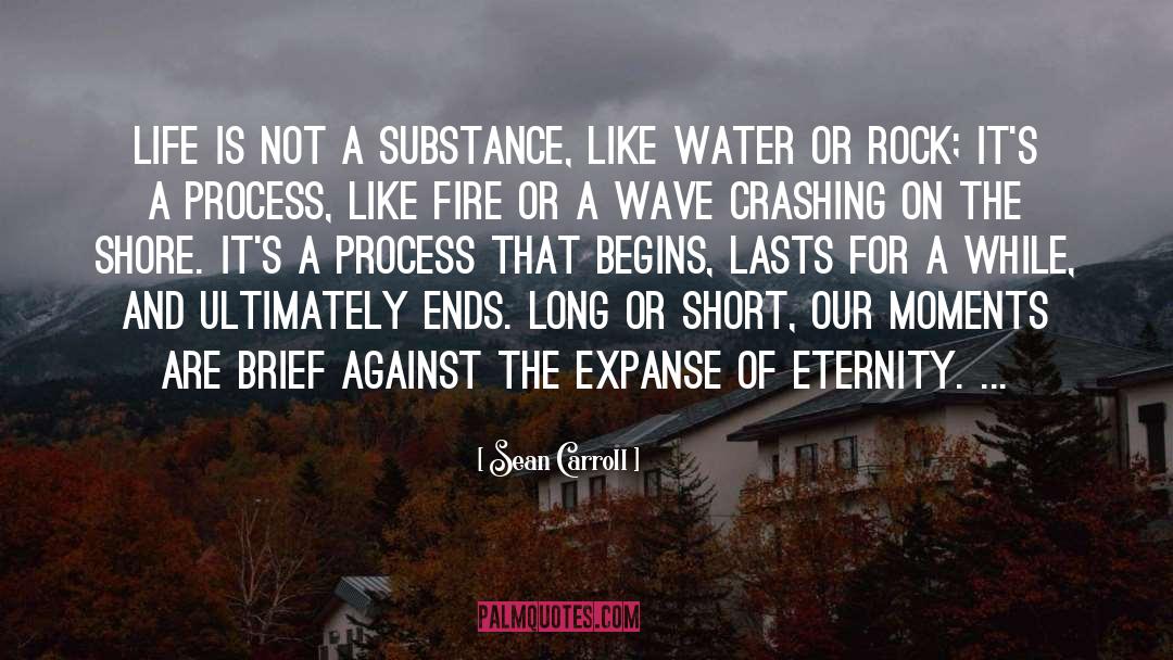 Sean Carroll Quotes: Life is not a substance,