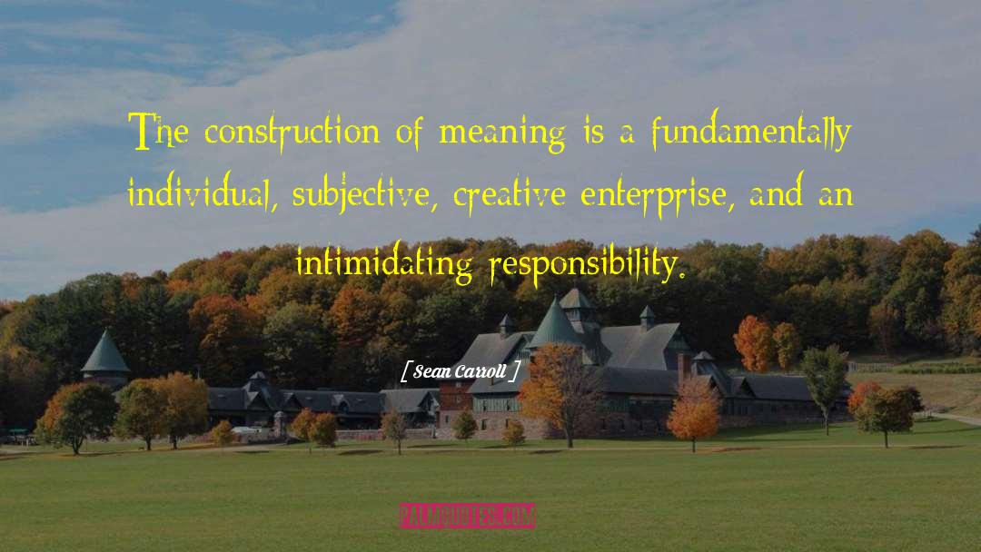 Sean Carroll Quotes: The construction of meaning is