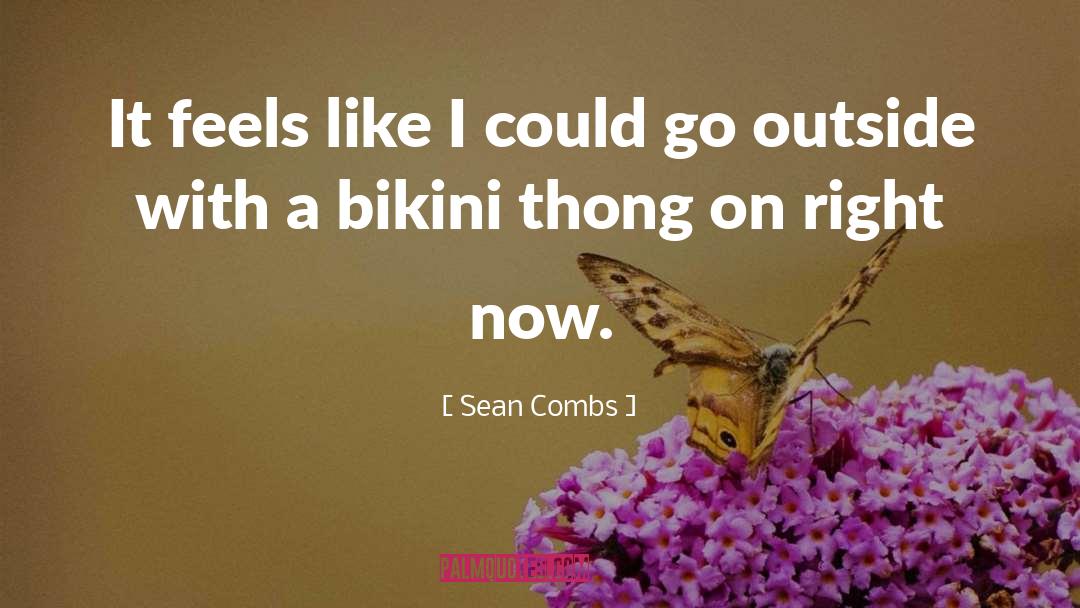 Sean Combs Quotes: It feels like I could