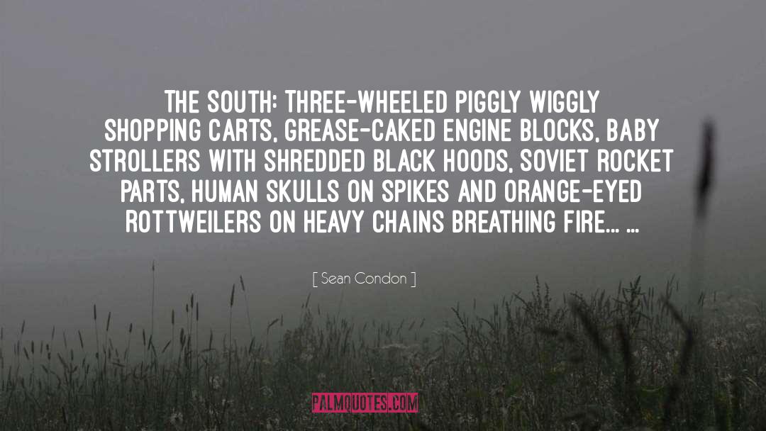 Sean Condon Quotes: The South: Three-wheeled Piggly Wiggly