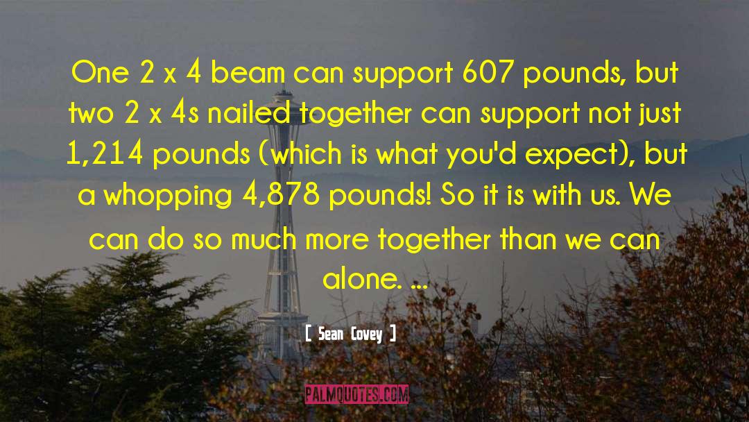 Sean Covey Quotes: One 2 x 4 beam