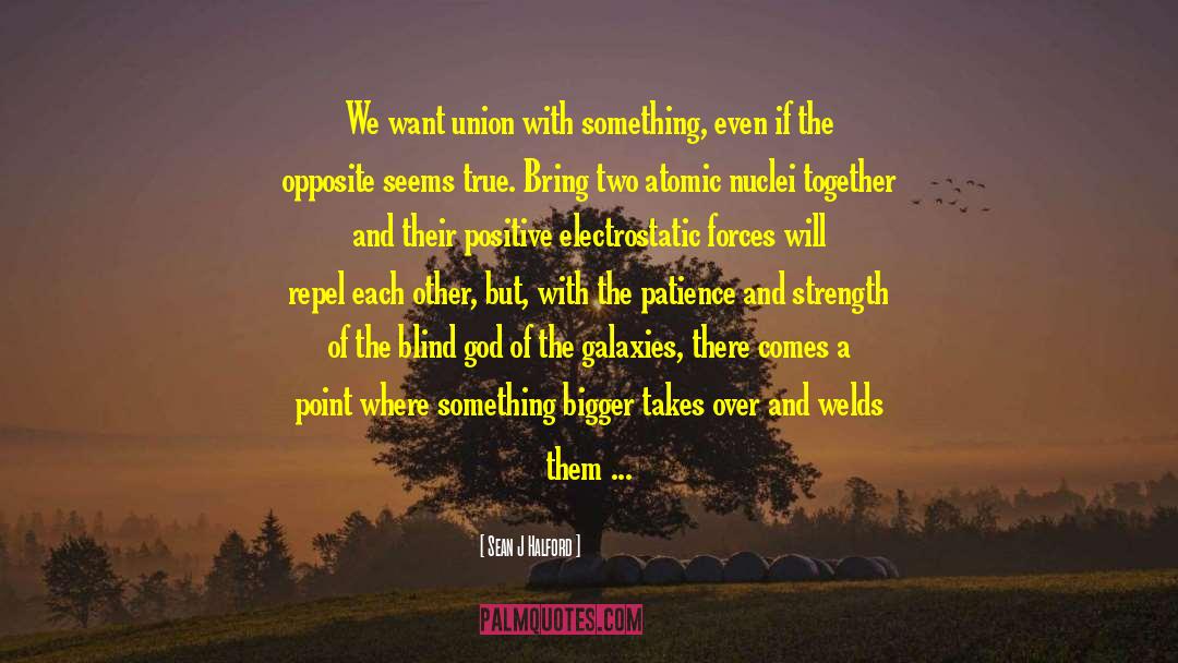 Sean J Halford Quotes: We want union with something,