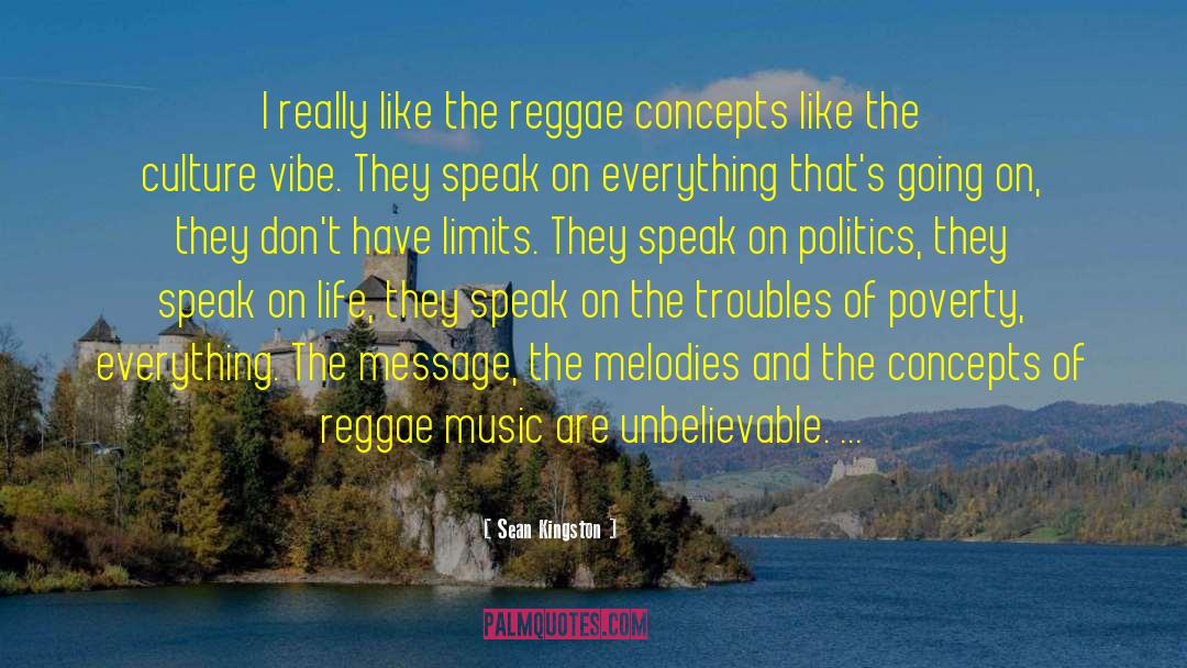 Sean Kingston Quotes: I really like the reggae