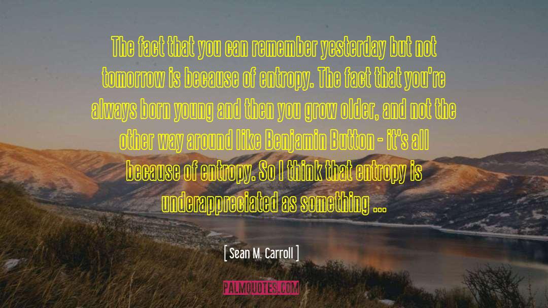 Sean M. Carroll Quotes: The fact that you can