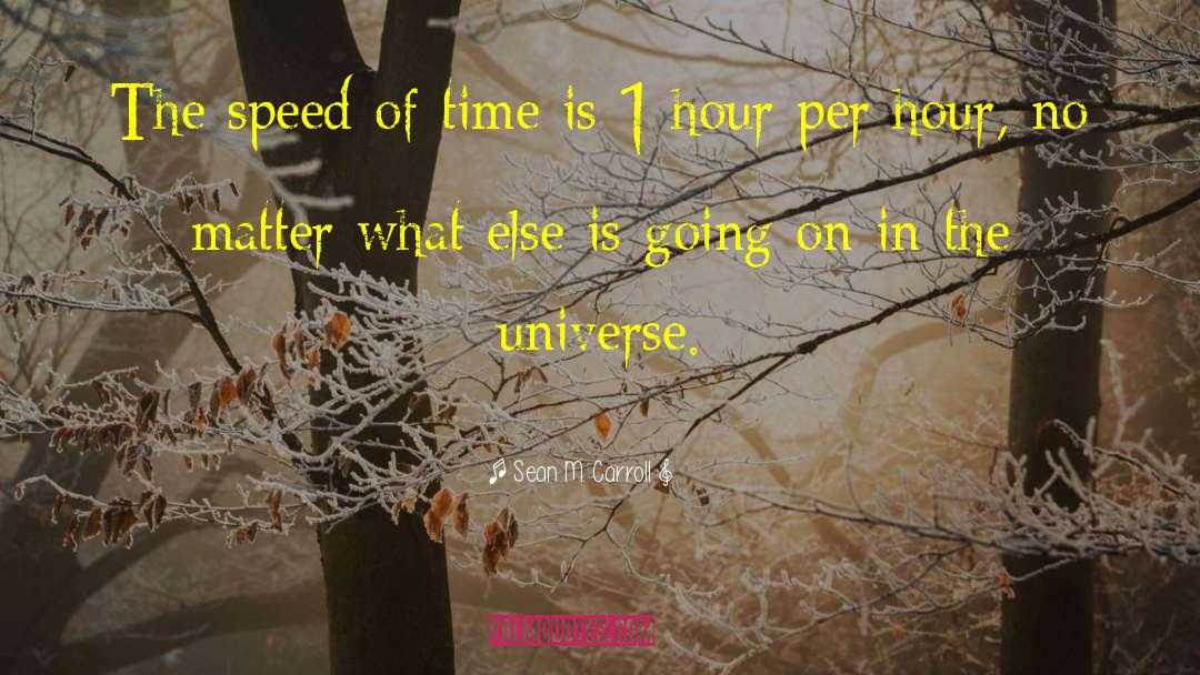 Sean M. Carroll Quotes: The speed of time is