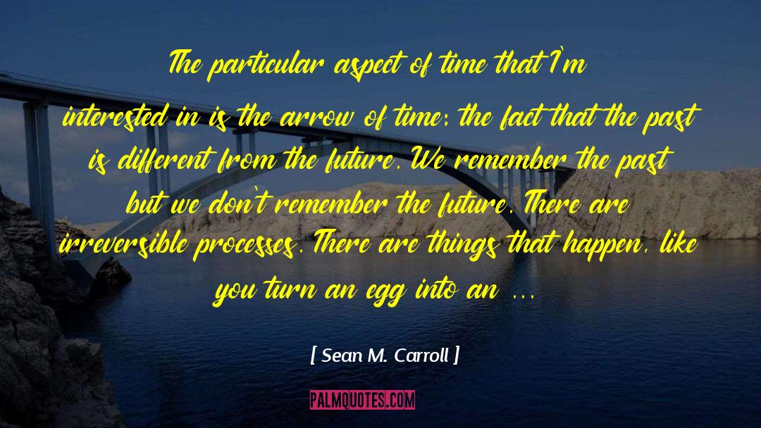 Sean M. Carroll Quotes: The particular aspect of time