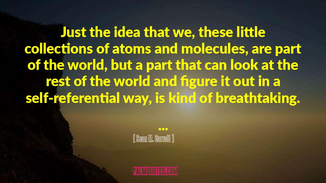 Sean M. Carroll Quotes: Just the idea that we,