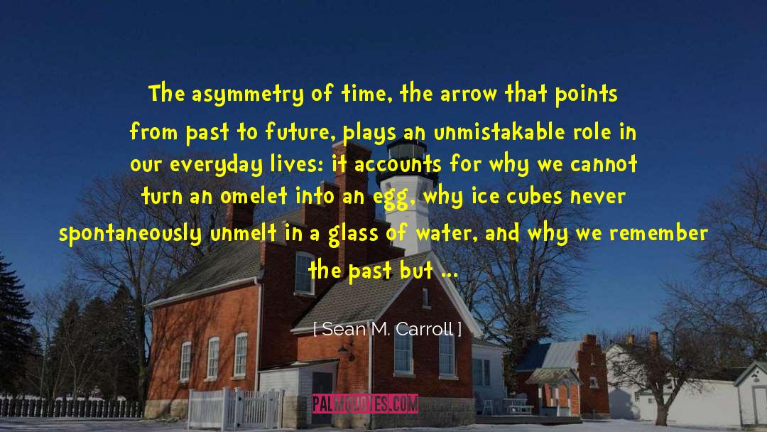 Sean M. Carroll Quotes: The asymmetry of time, the