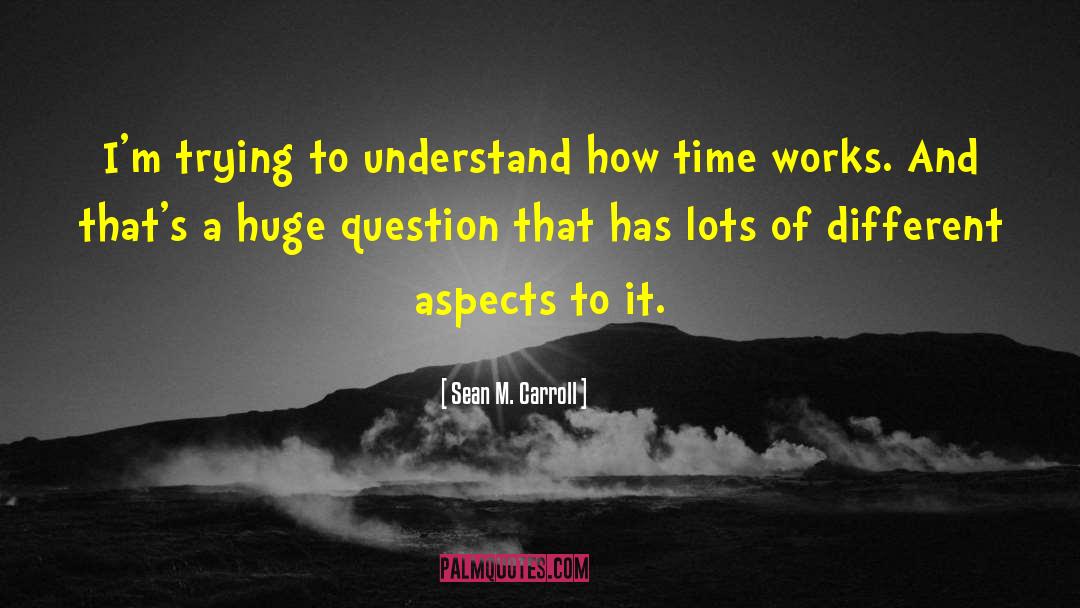Sean M. Carroll Quotes: I'm trying to understand how