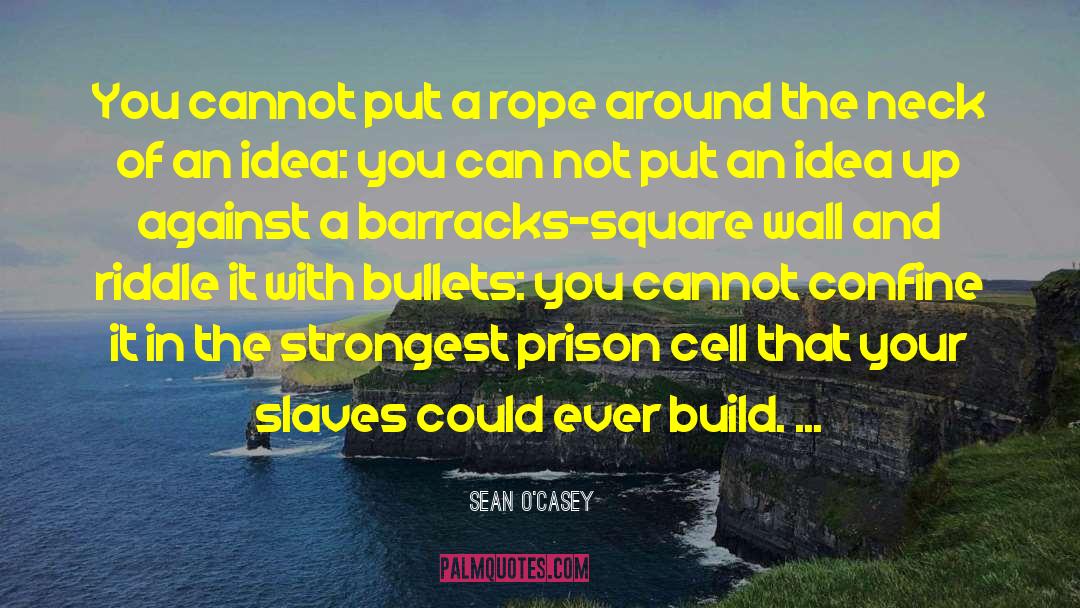 Sean O'Casey Quotes: You cannot put a rope